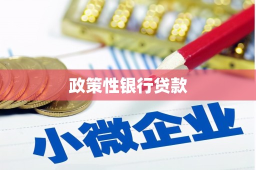 五结政策性银行贷款