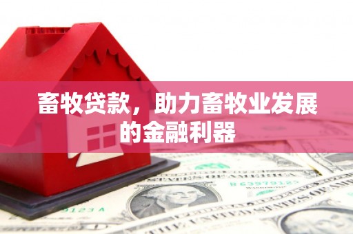 五结畜牧贷款，助力畜牧业发展的金融利器