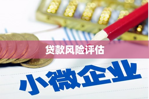 五结贷款风险评估
