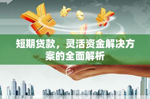 五结短期贷款，灵活资金解决方案的全面解析
