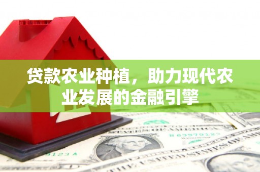 五结贷款农业种植，助力现代农业发展的金融引擎