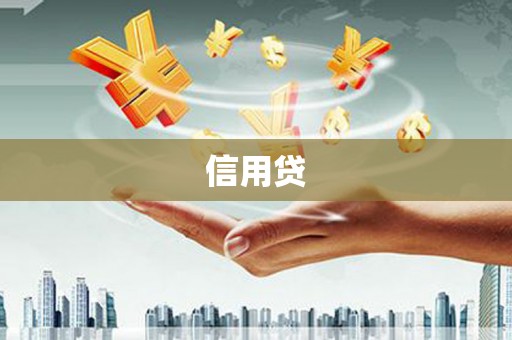五结信用贷
