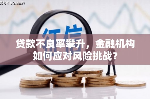 五结贷款不良率攀升，金融机构如何应对风险挑战？