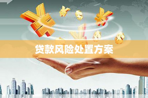 五结贷款风险处置方案