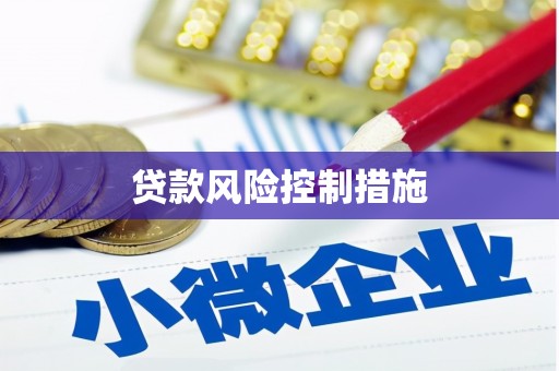 五结贷款风险控制措施