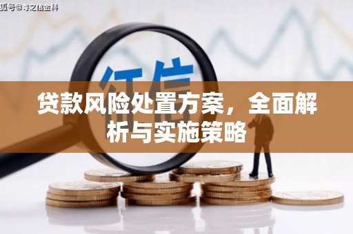 五结贷款风险处置方案，全面解析与实施策略